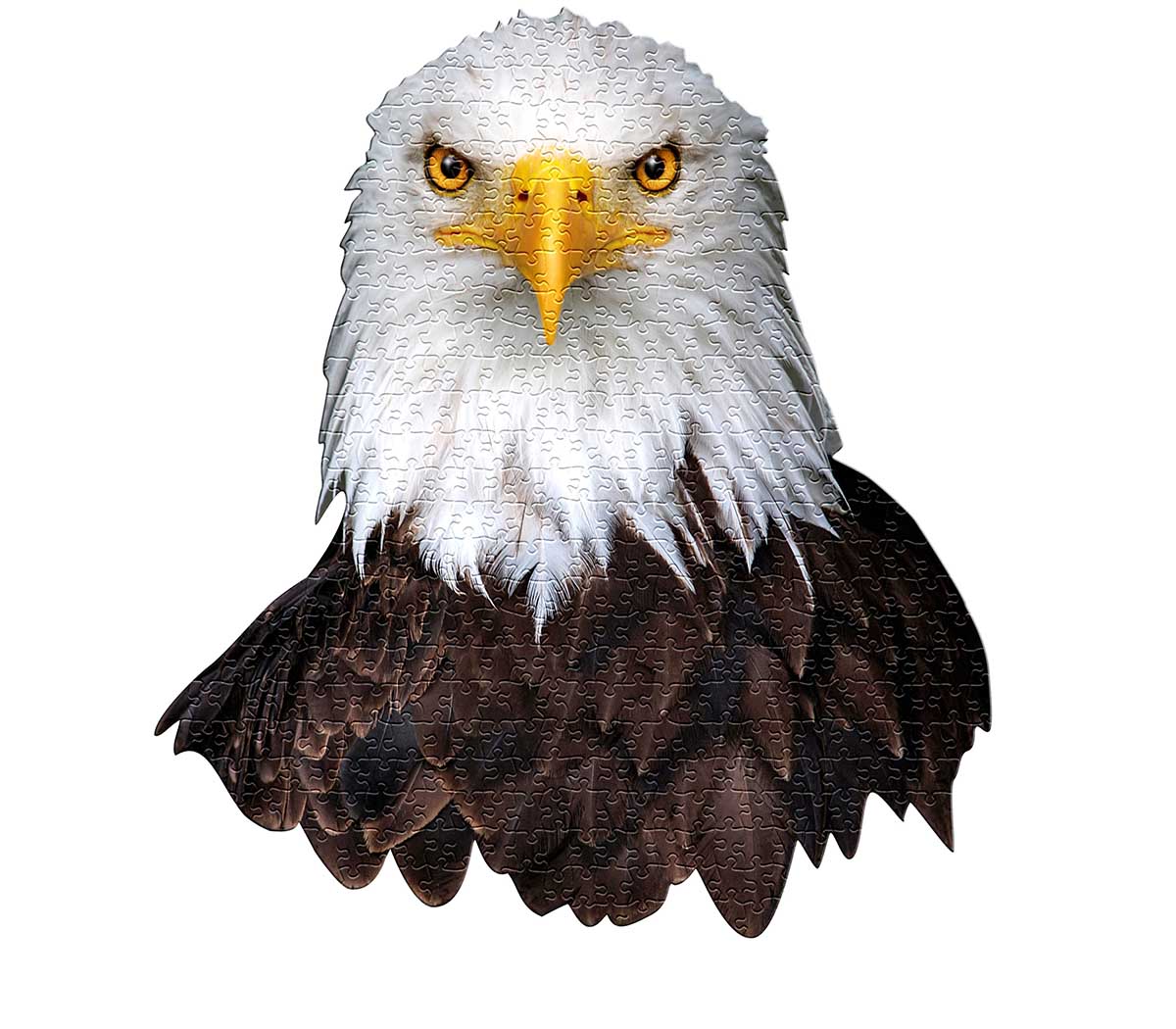 I AM Eagle - Scratch and Dent