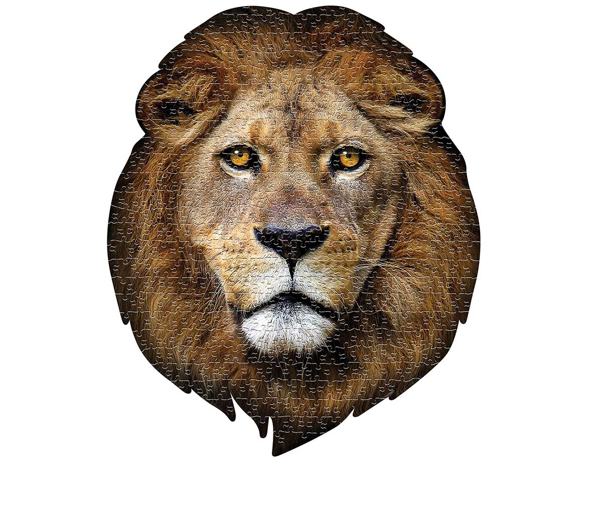 I AM Lion