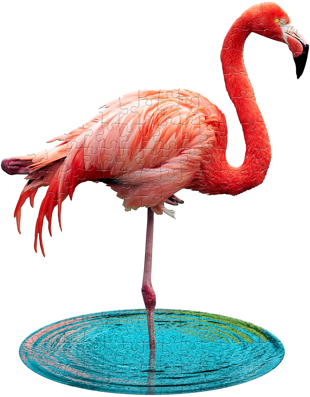 I Am Lil' Flamingo Birds Shaped Puzzle
