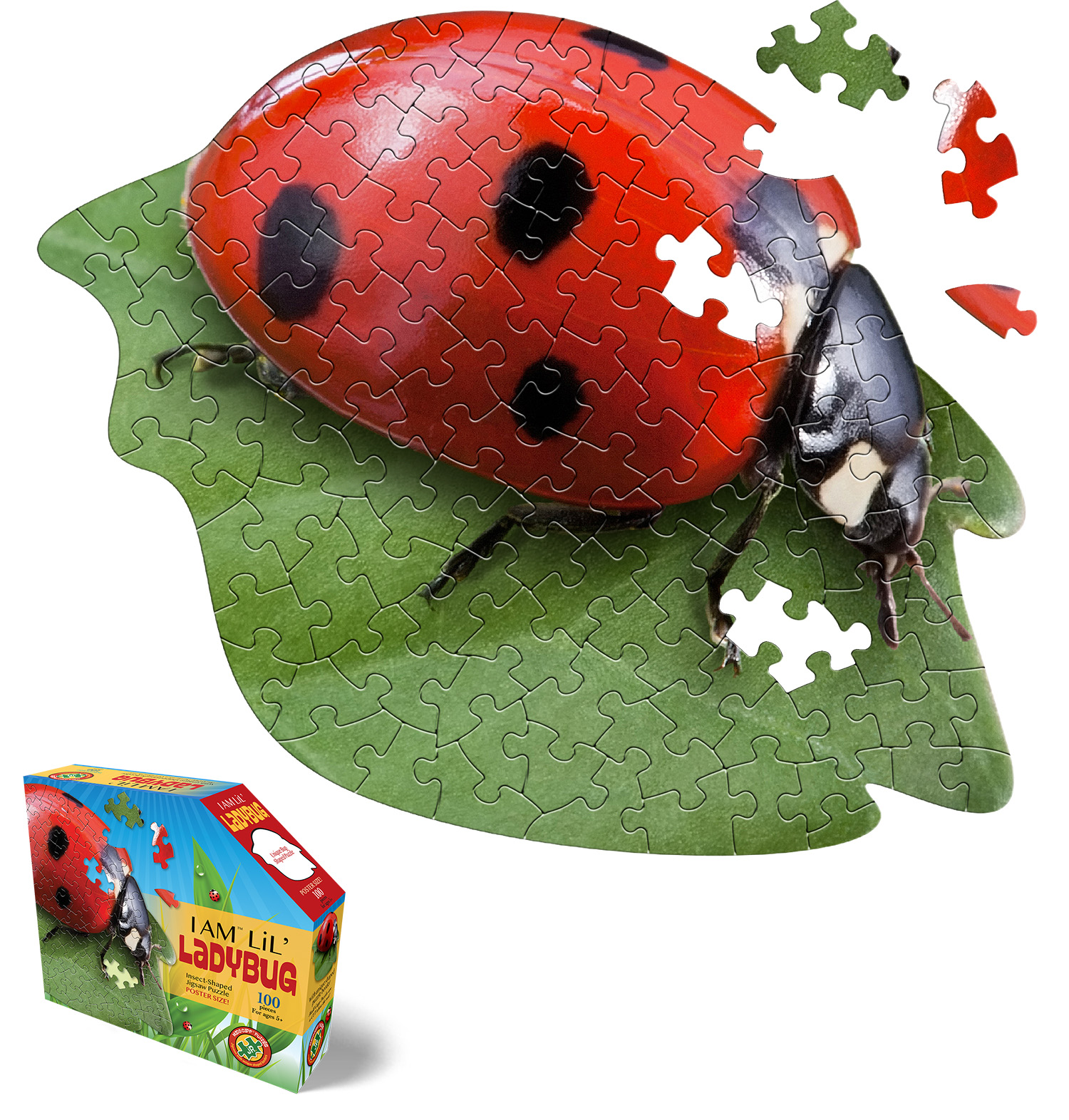 I Am Lil' Lady Bug Butterflies and Insects Shaped Puzzle