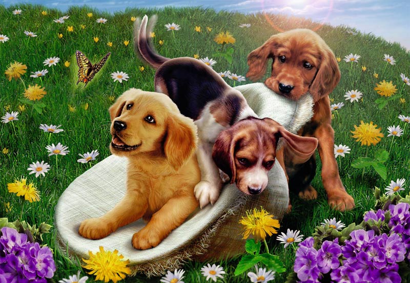 Frolicking Puppies, 24 Pieces, Ravensburger | Puzzle Warehouse