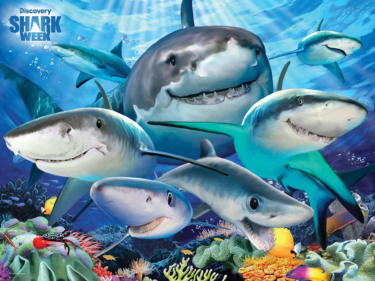Shark Selfie - Discovery Shark Week Sea Life Jigsaw Puzzle