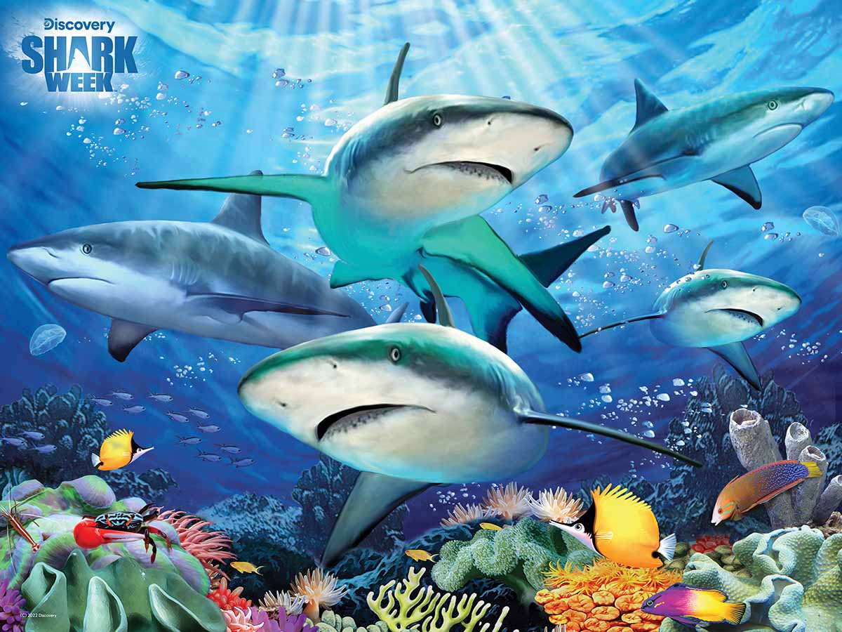 Shark Reef Shark Week - Discovery Sea Life Jigsaw Puzzle