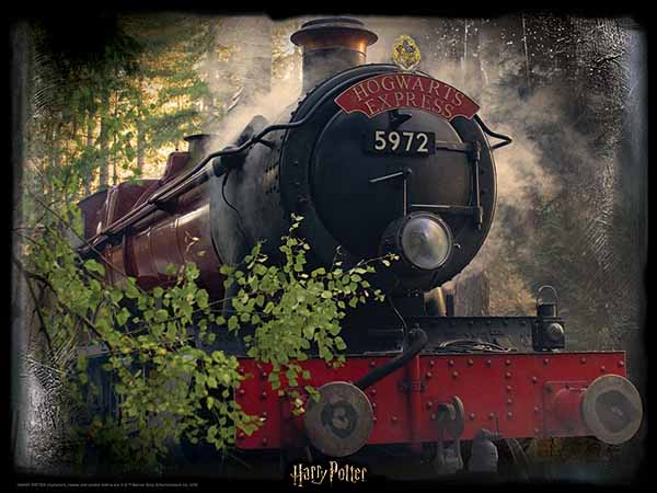 Harry Potter Hogwarts Express 3D Puzzle 500 Pieces