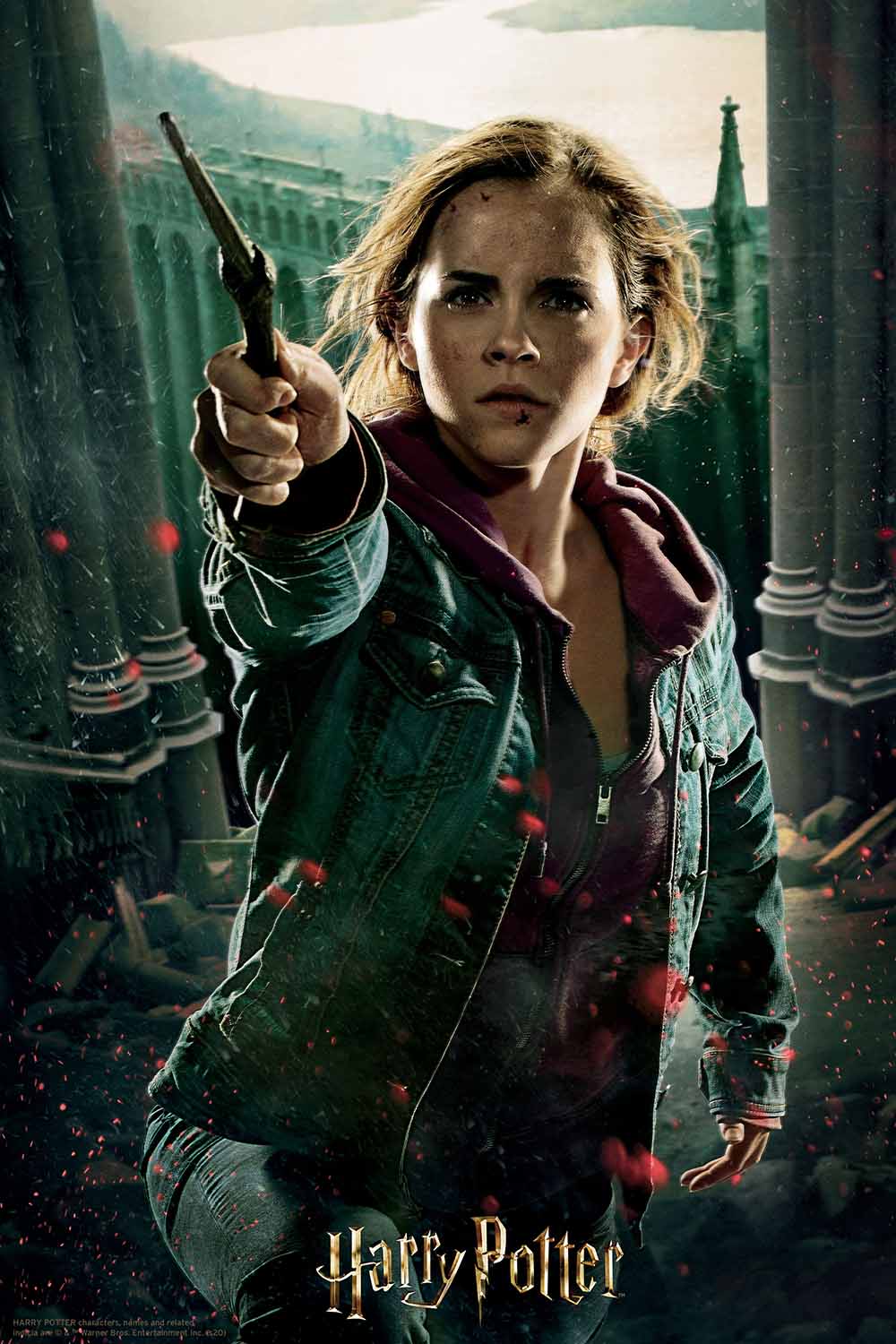 Hermione Granger Harry Potter Movies & TV Jigsaw Puzzle