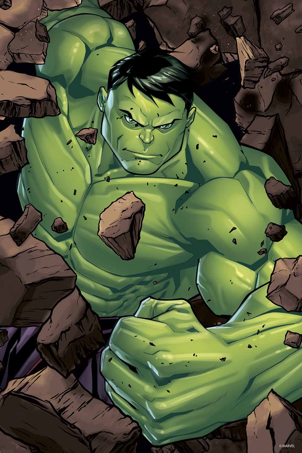Marvel The Hulk - Scratch and Dent Superheroes Shaped Puzzle