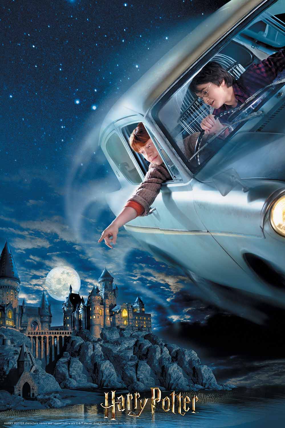 Harry And Ron Flying Movies & TV Jigsaw Puzzle