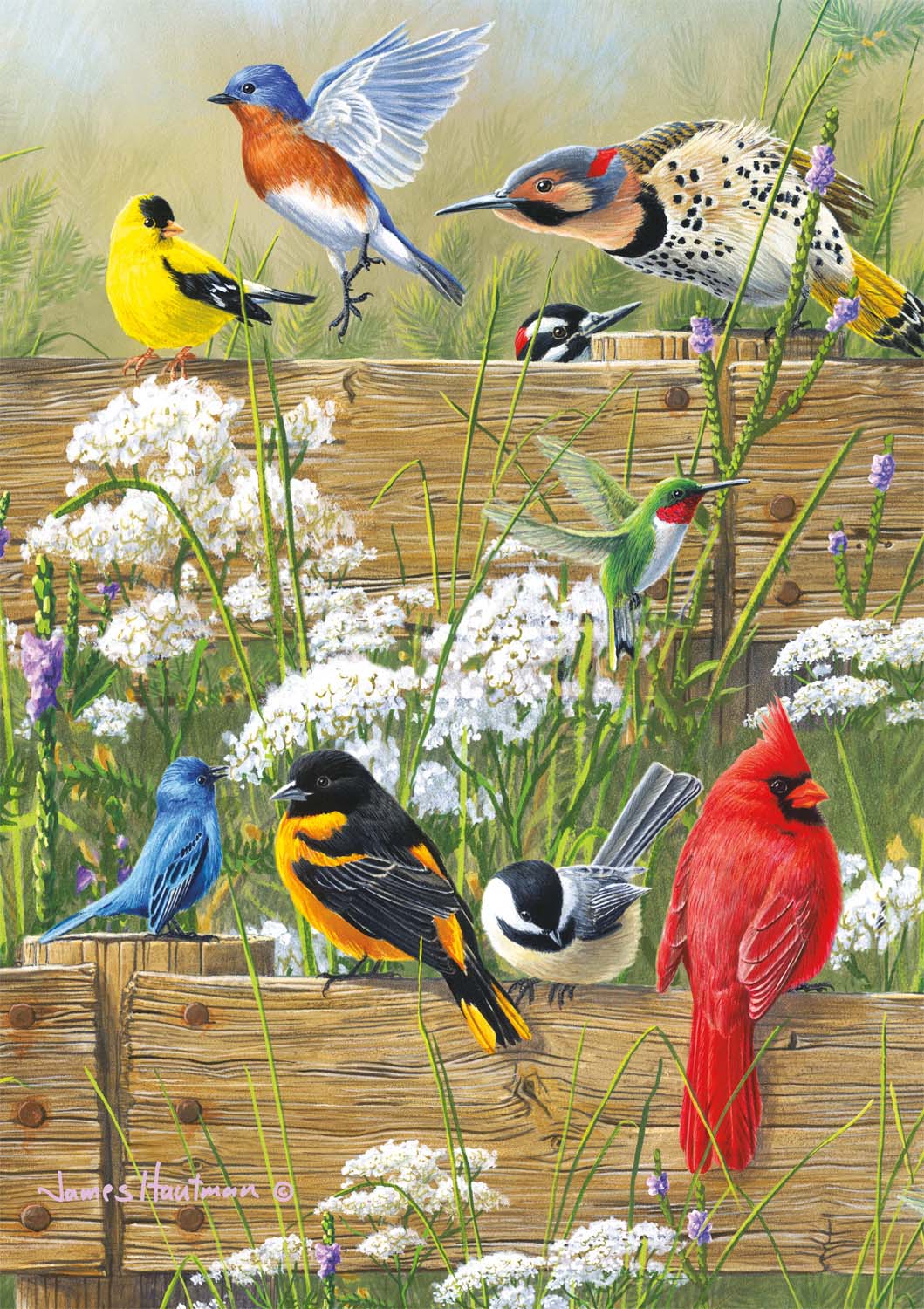 Songbird Menagerie Birds Jigsaw Puzzle