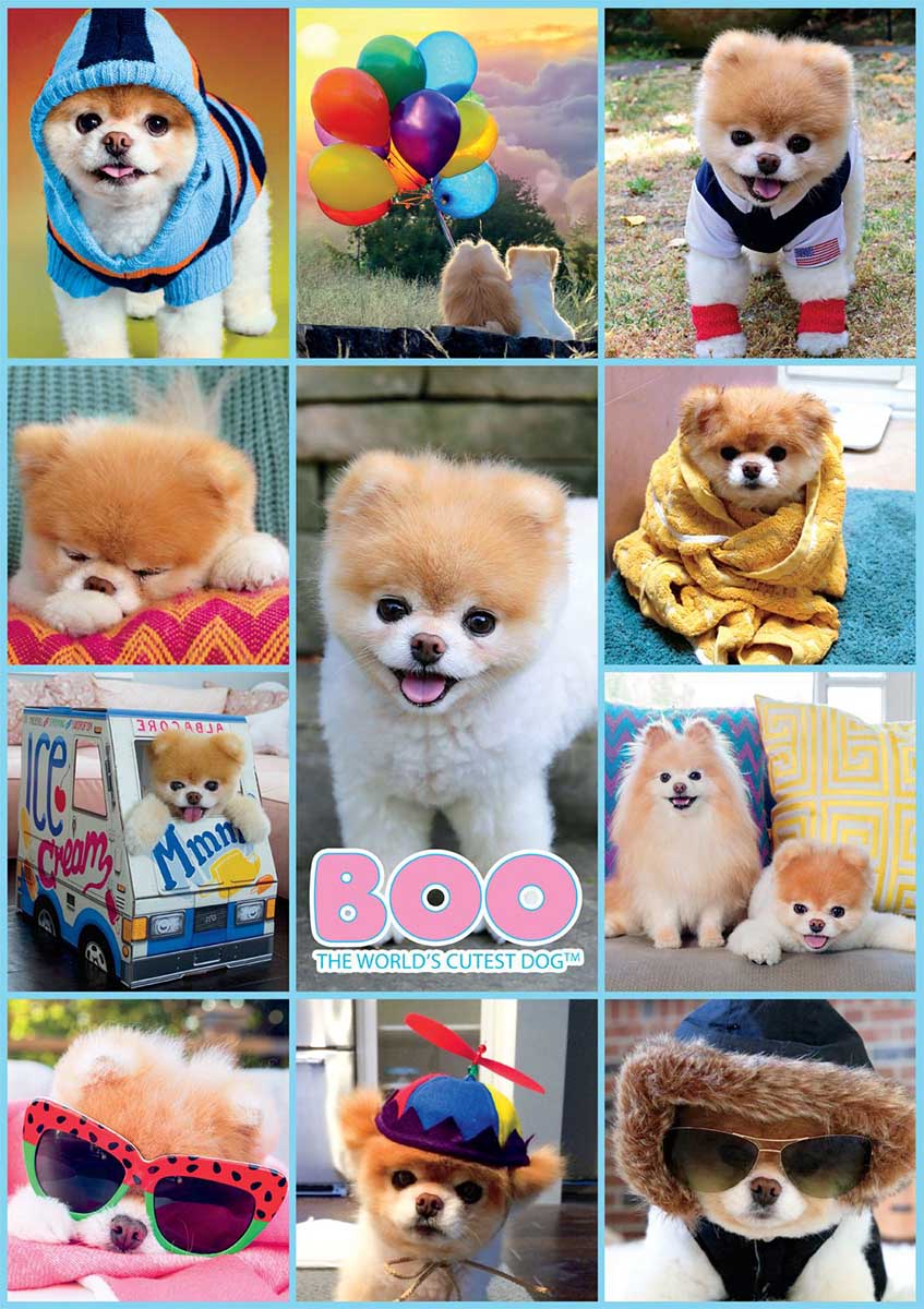 Boo Collage Dogs Jigsaw Puzzle