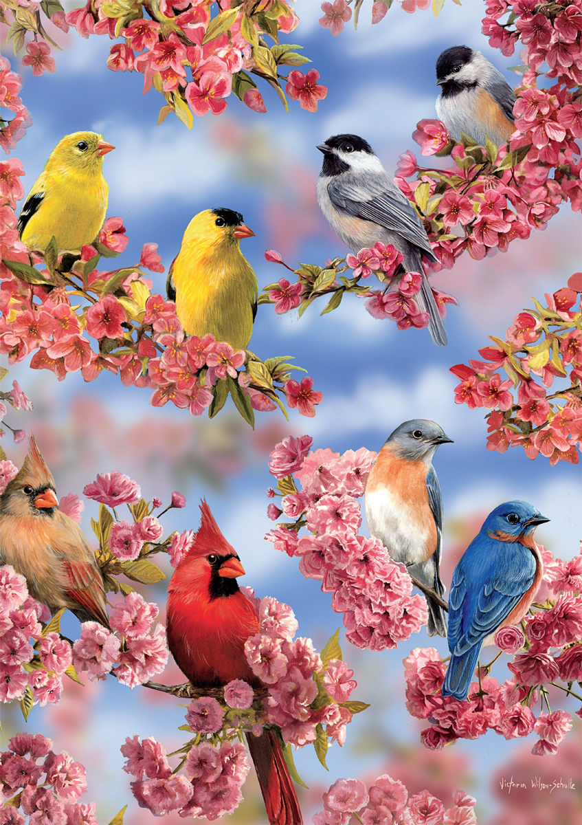 Blossoms and Birds