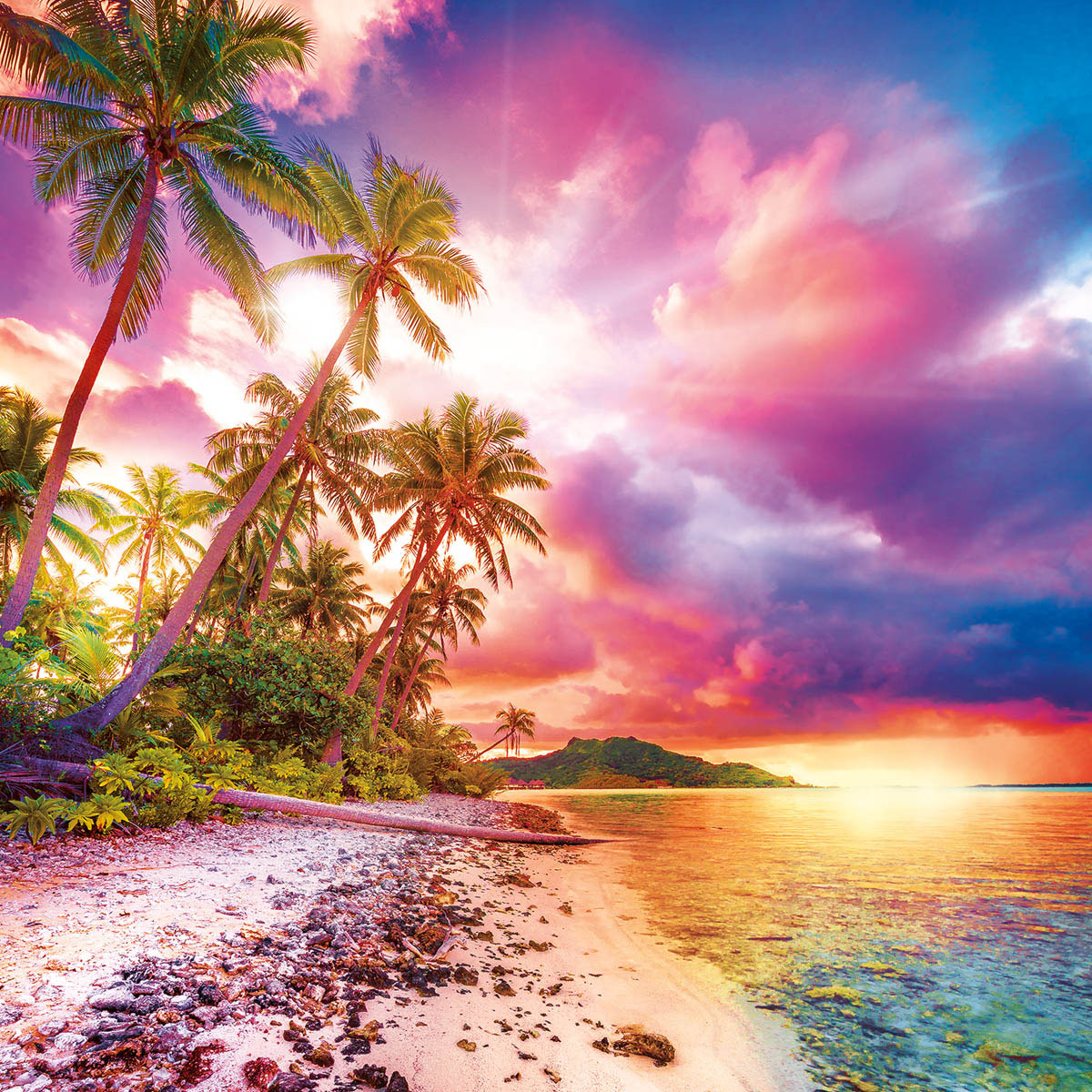 Escape to Paradise - Scratch and Dent Travel Jigsaw Puzzle