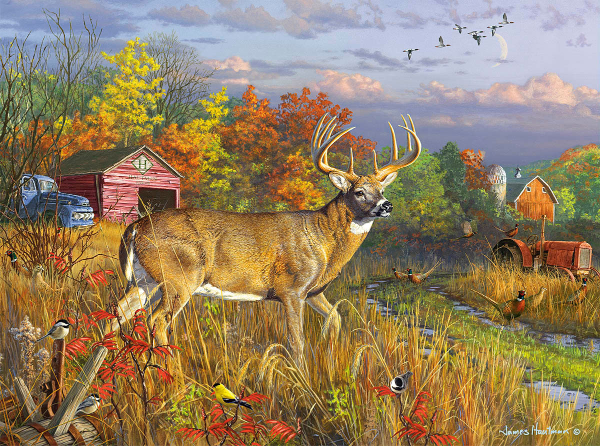 Fall Colors, 1000 Pieces, Buffalo Games | Puzzle Warehouse