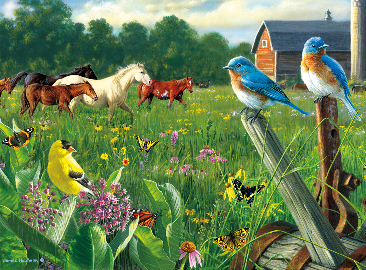 Country Meadow - Scratch and Dent Farm Jigsaw Puzzle
