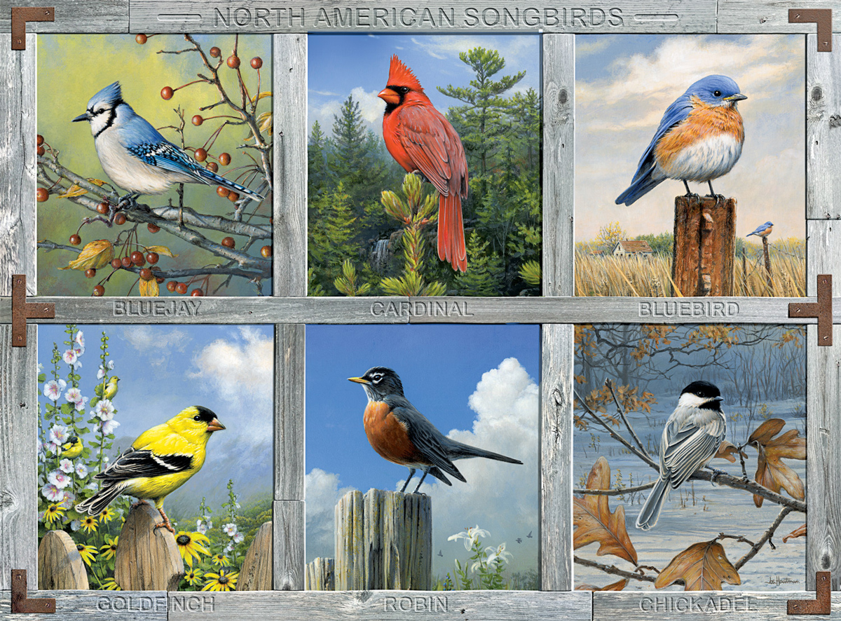 North American Songbirds, 1000 Pieces, Buffalo Games | Puzzle Warehouse