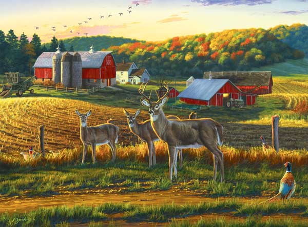 Harvest Time, 1000 Pieces, Buffalo Games | Puzzle Warehouse