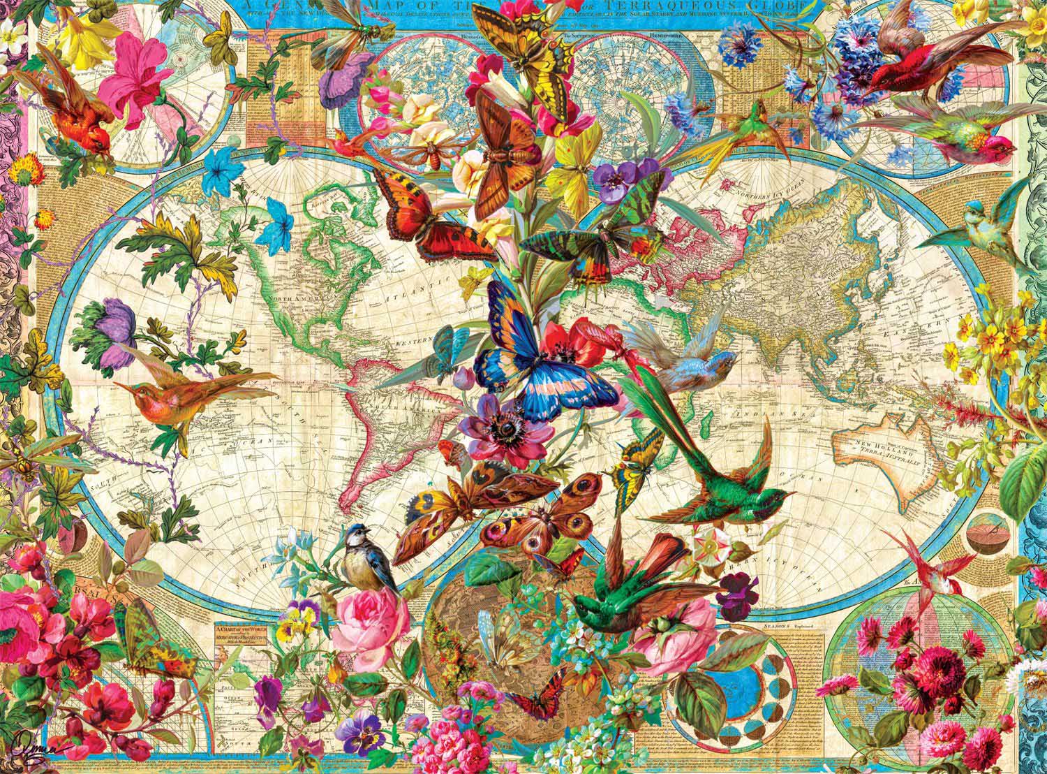 Birds Butterflies And Blooms Map 1000 Pieces Buffalo Games Puzzle