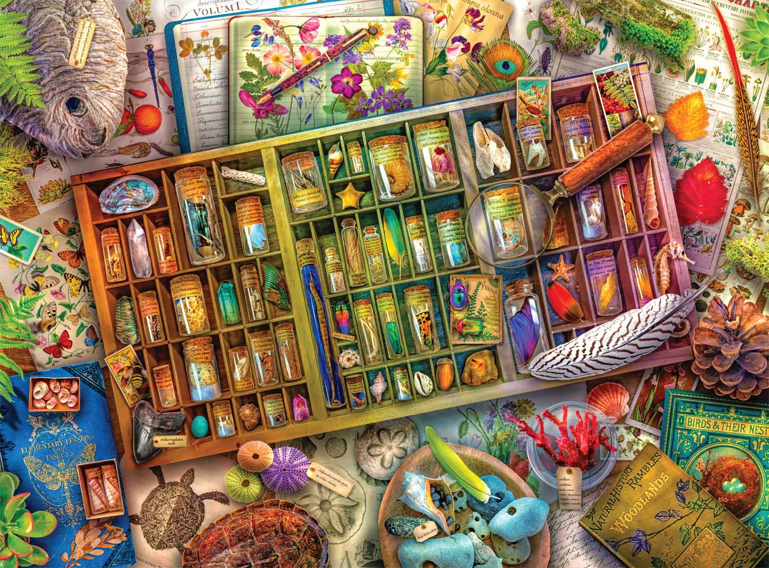 The Naturalist's Collection - Scratch and Dent Collage Jigsaw Puzzle