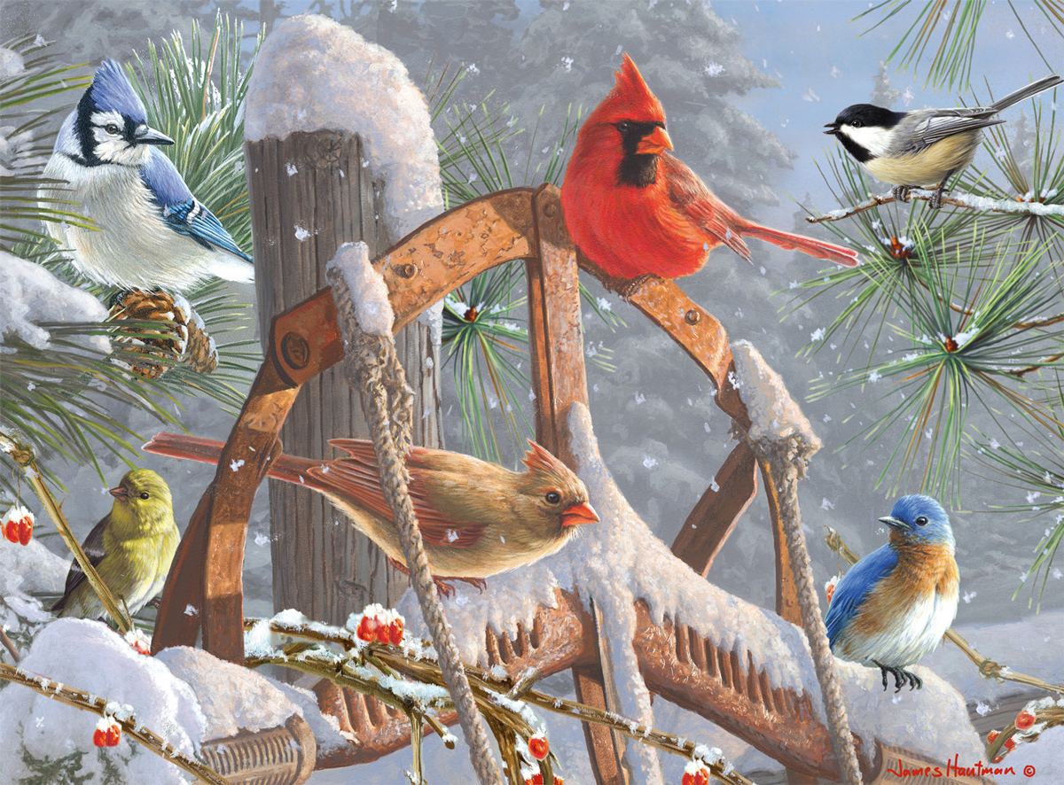 Fresh Snowfall Birds Jigsaw Puzzle