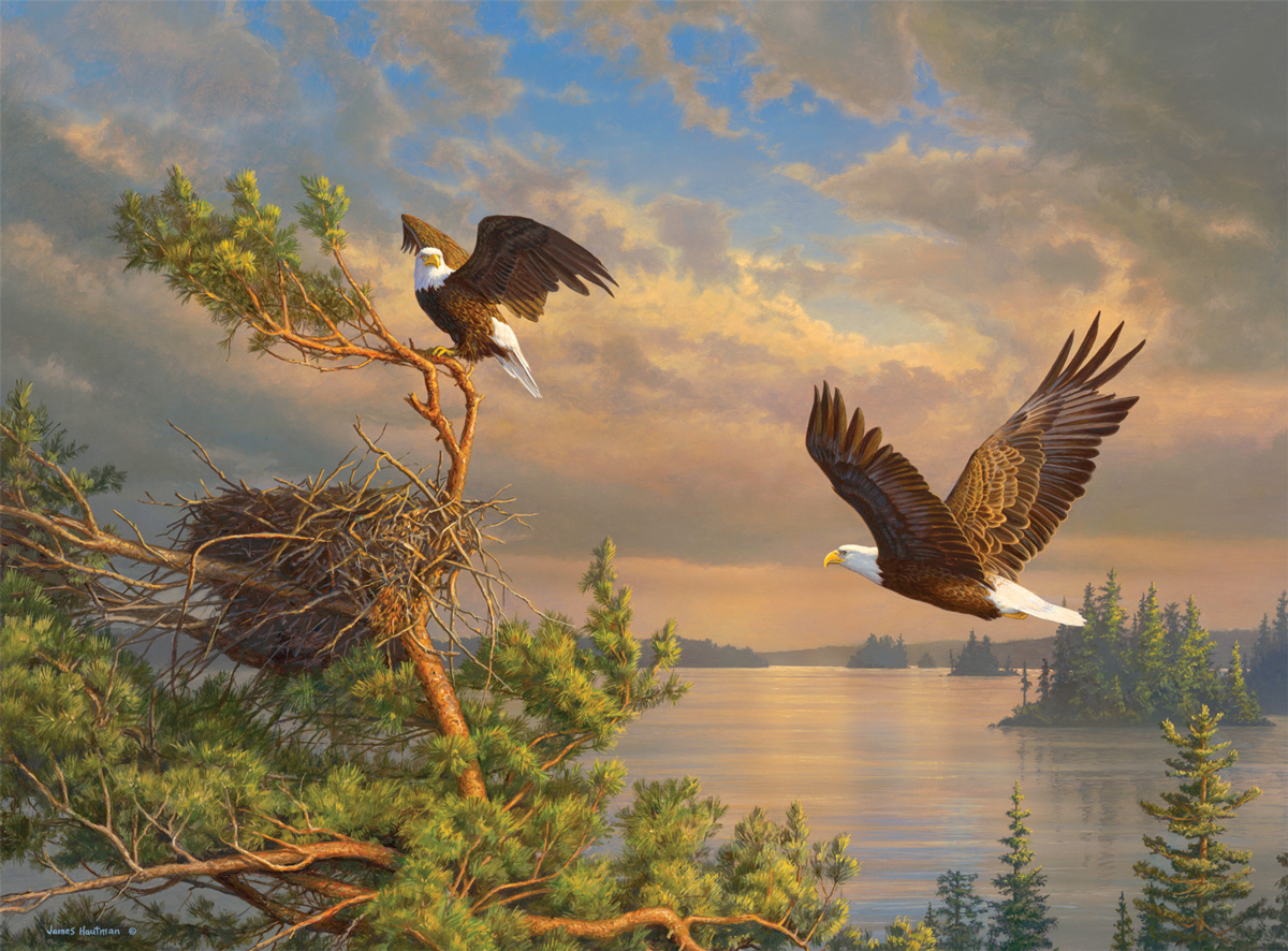 Back To The Nest Eagles Jigsaw Puzzle