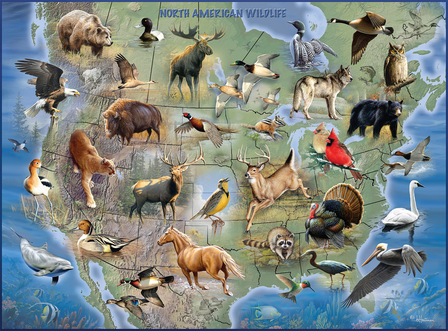 North American Wildlife Animals Jigsaw Puzzle