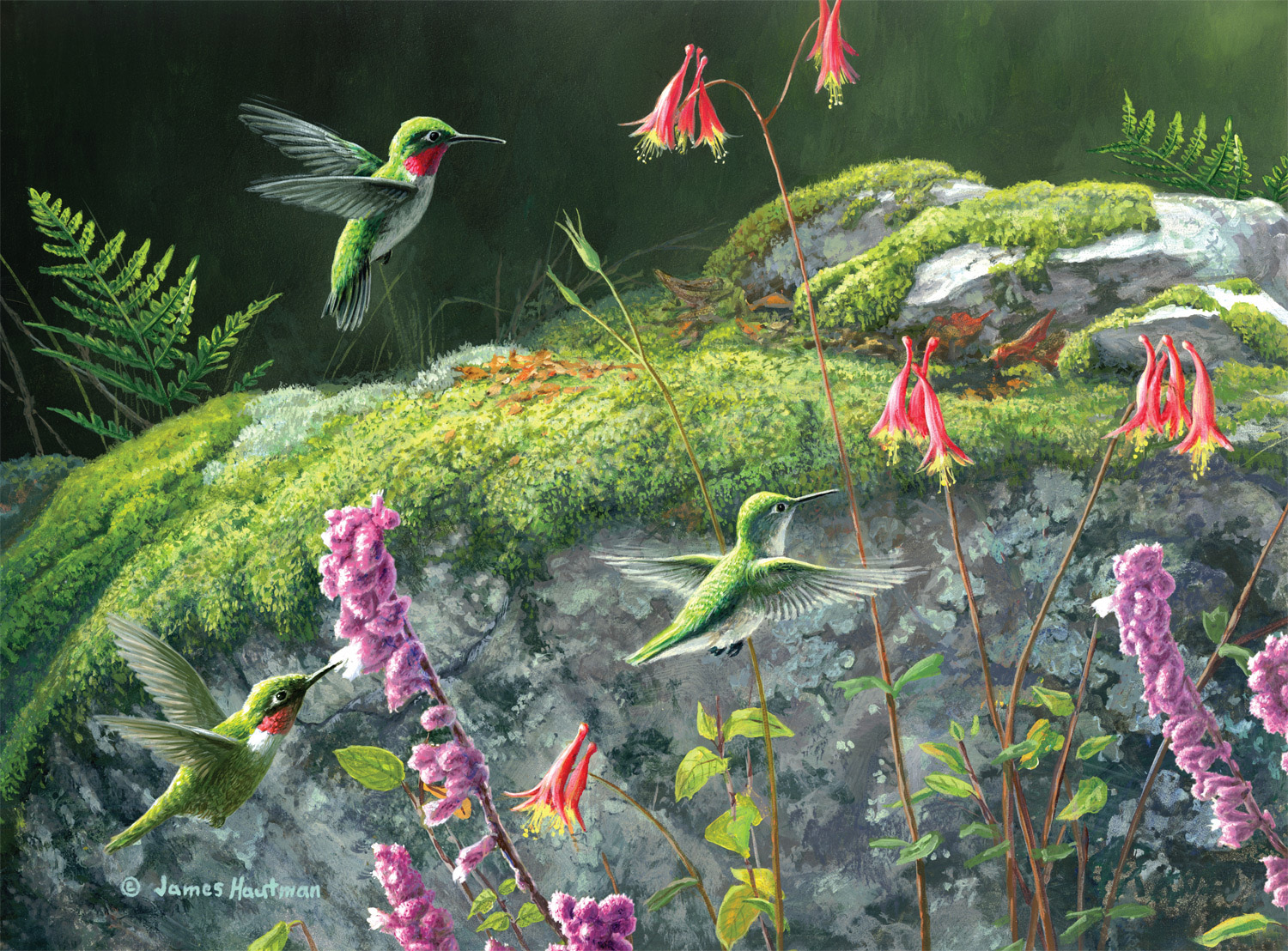 Dappled Hummingbirds Fine Art Jigsaw Puzzle