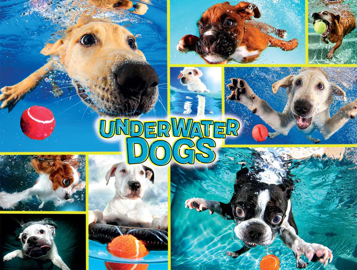 Underwater Dogs Dogs Jigsaw Puzzle