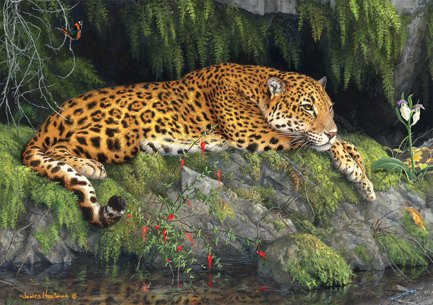 Jaguar and Butterfly Fine Art Jigsaw Puzzle