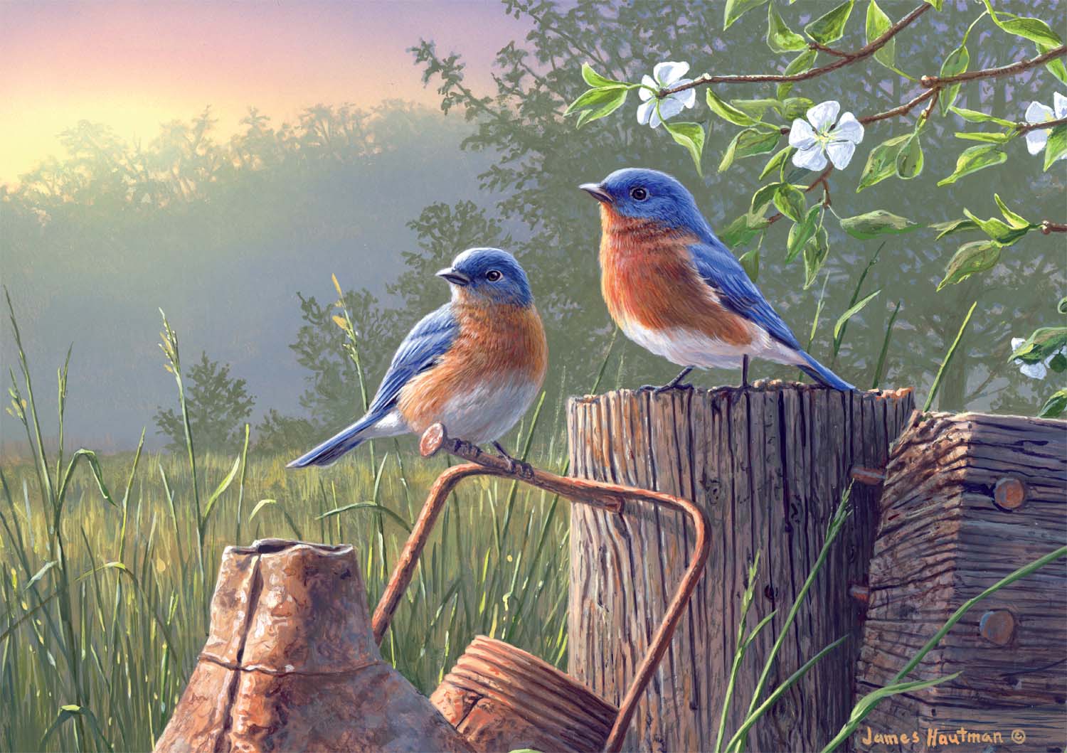 Daybreak Bluebirds Birds Jigsaw Puzzle