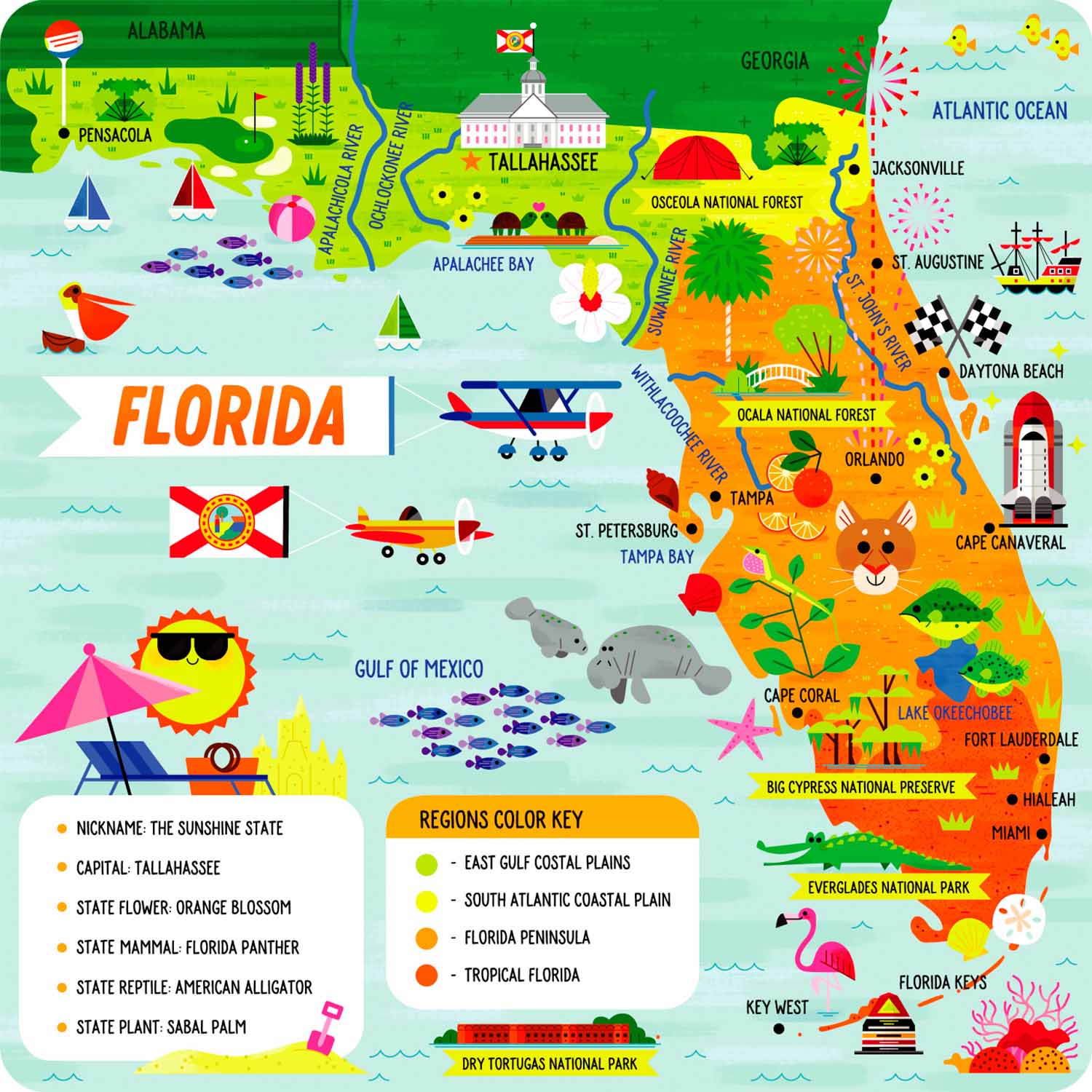 State Puzzle: Florida Maps & Geography Floor Puzzle