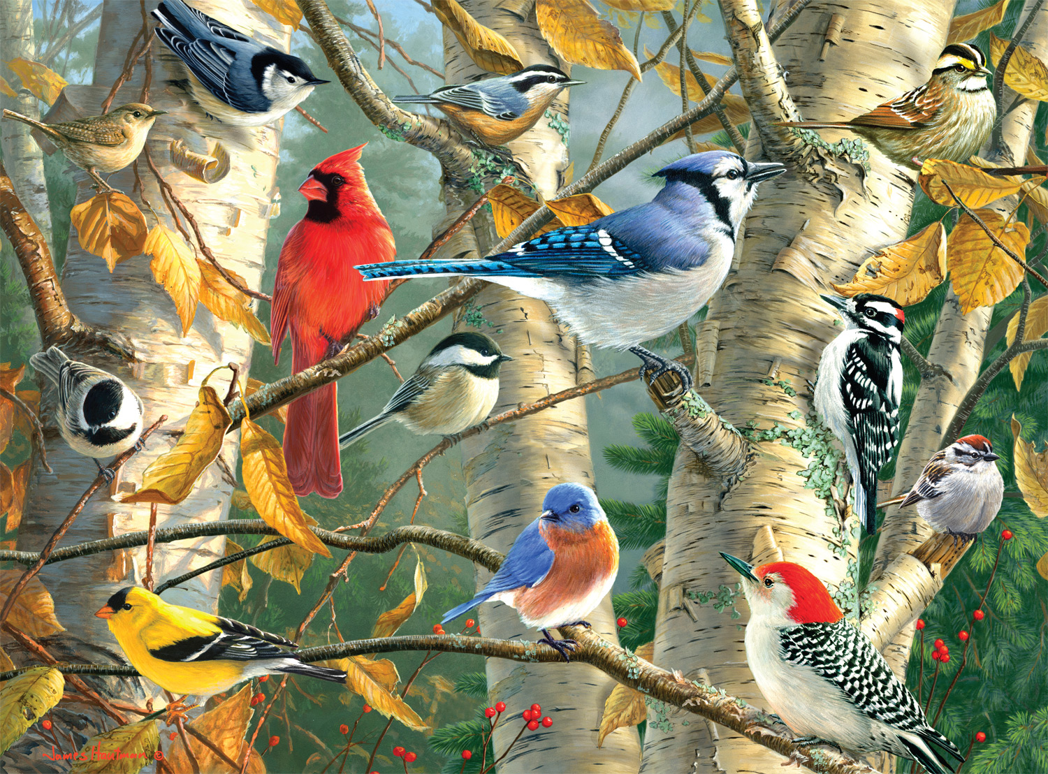 Fall Birds - Scratch and Dent Birds Jigsaw Puzzle