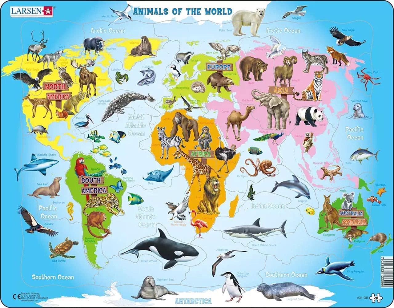 Animals Of The World Animals Tray Puzzle