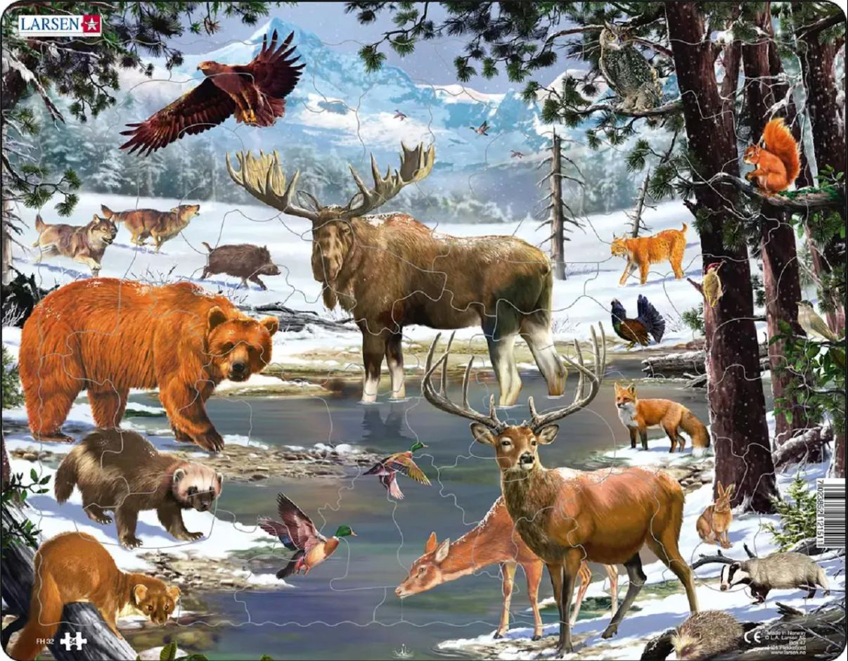 Canadian Animals Forest Animal Tray Puzzle