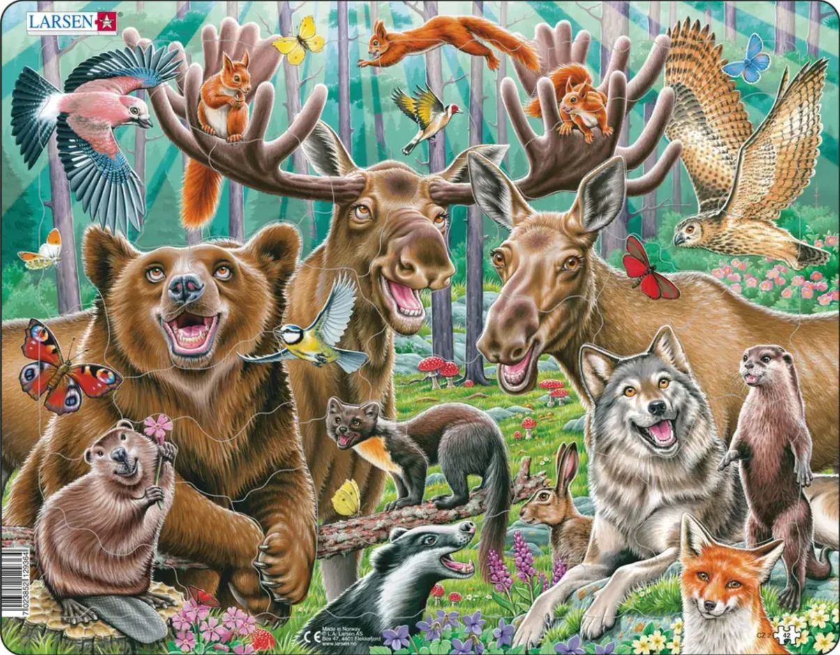 Happy Forest Selfie Forest Animal Tray Puzzle
