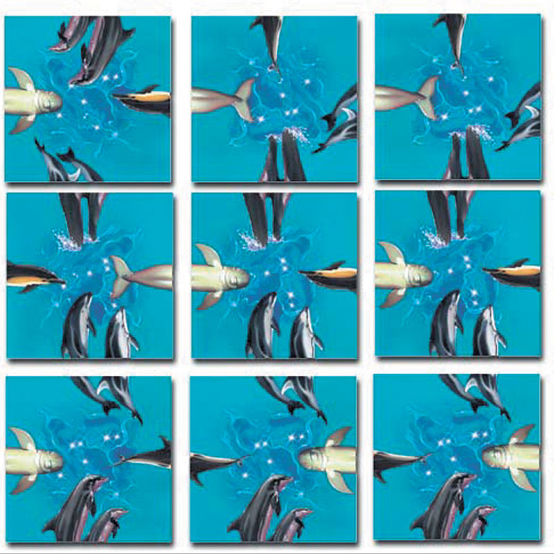 Dolphins Sea Life Jigsaw Puzzle