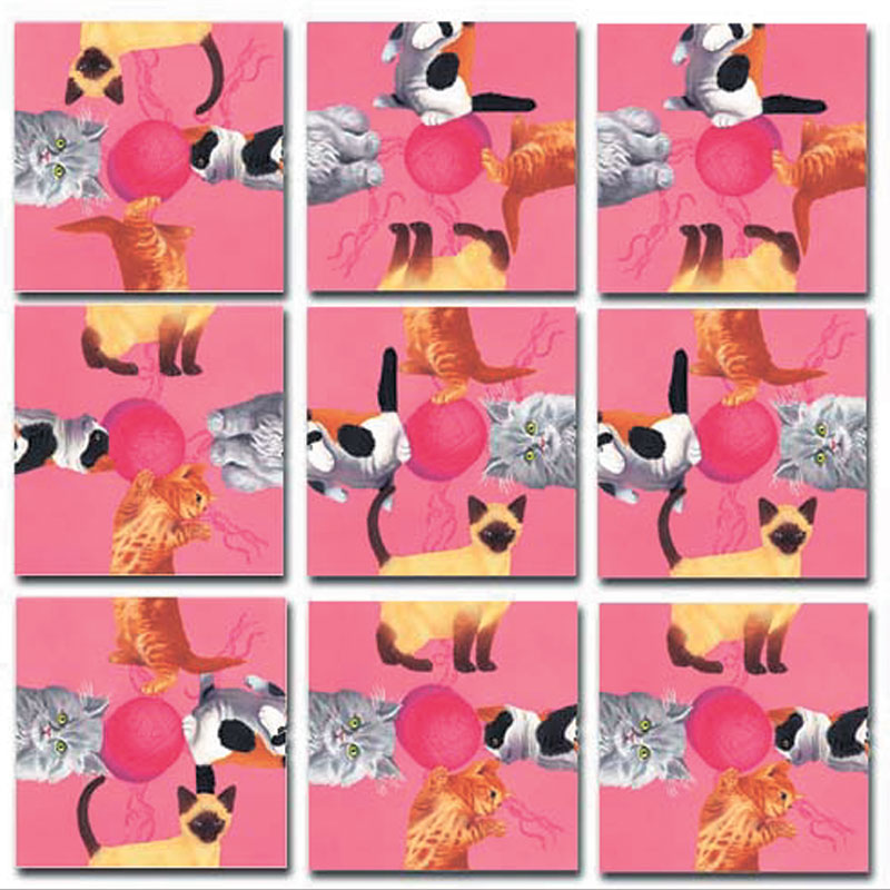 Kittens, 9 Pieces, Scramble Squares | Puzzle Warehouse