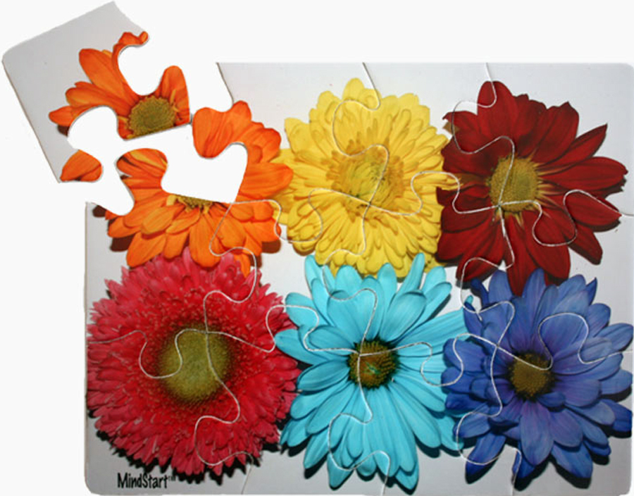 Flowers (12pc) Flower & Garden Jigsaw Puzzle
