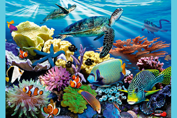 Reef Life, 1000 Pieces, Jumbo | Puzzle Warehouse