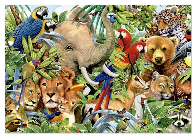 Animal World, 500 Pieces, Educa | Puzzle Warehouse