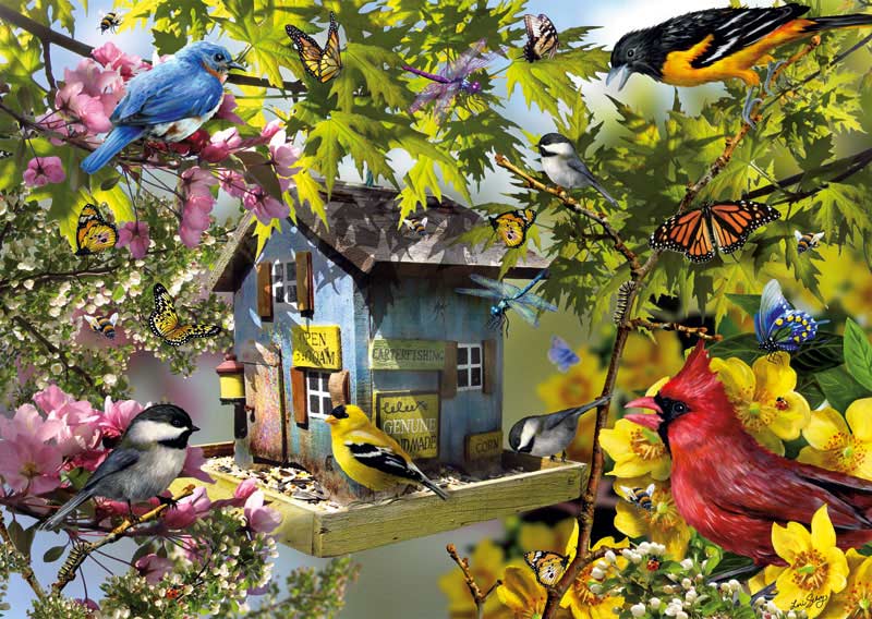 free jigsaw puzzles birds no downloads