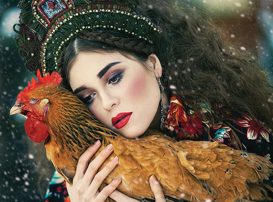 Feathered Friend (Margarita Kareva Fairy Tales) - Scratch and Dent
