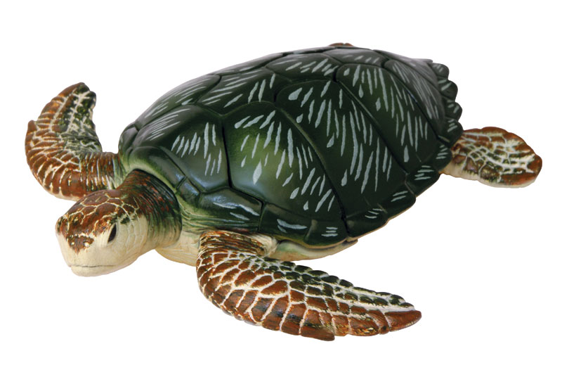 Набор черепахи. Игрушка Tortoise 3d черепаха. Набор черепашек морских. Фигурка морской черепахи. 3д пазл черепаха.
