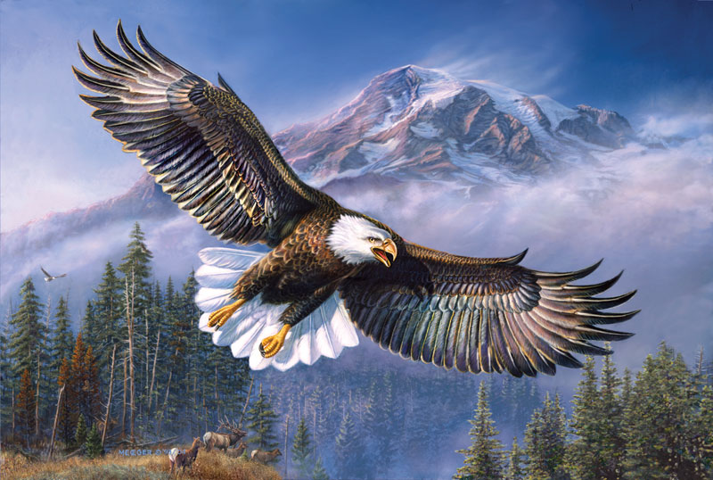 Eagle Anthem Hidden Images | PuzzleWarehouse.com