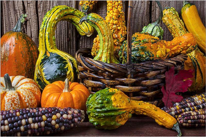 Harvest Colors Fall Jigsaw Puzzle