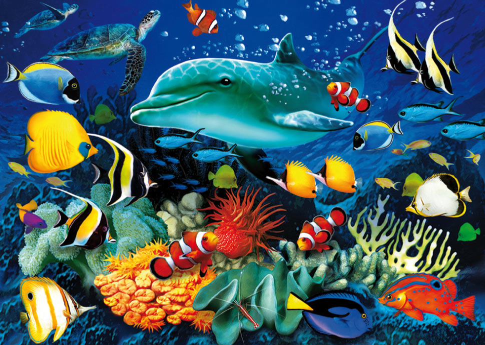 3D Dolphin Reef, 1000 Clementoni | Puzzle Warehouse