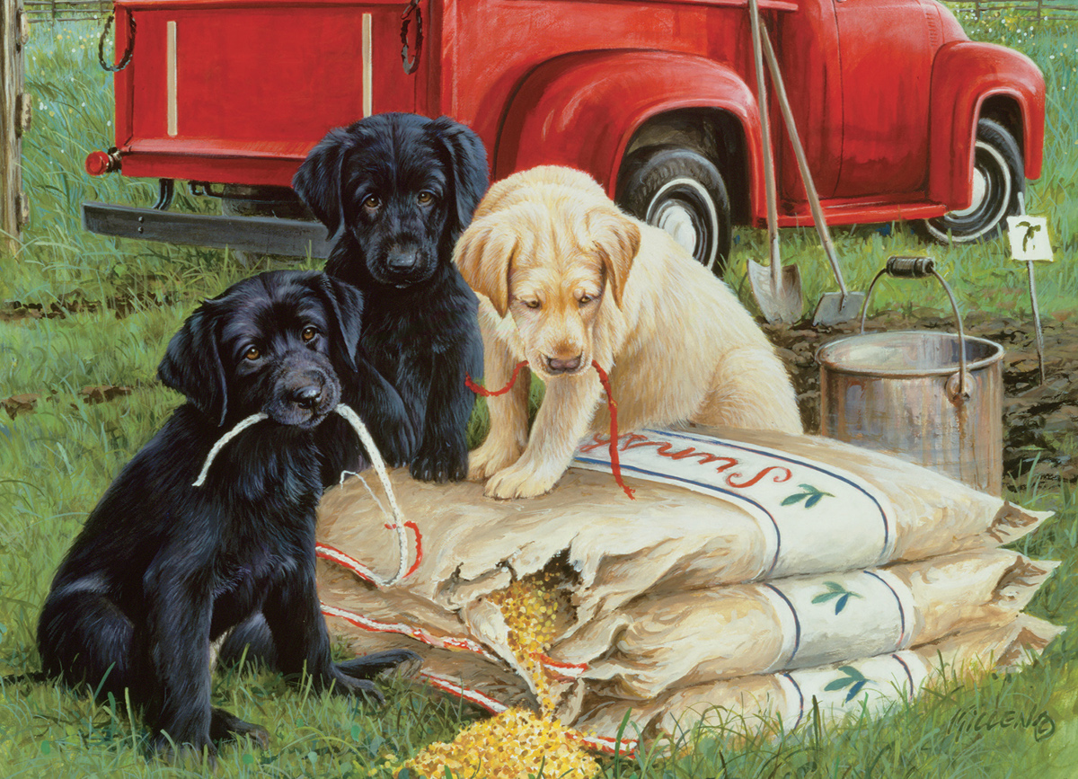 DOGS 39781 1000 PIECE JIGSAW PUZZLE BRAND NEW JUST LABS