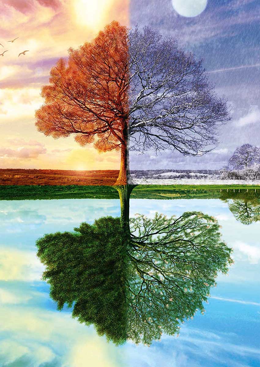 Seasons Landscape Jigsaw Puzzle