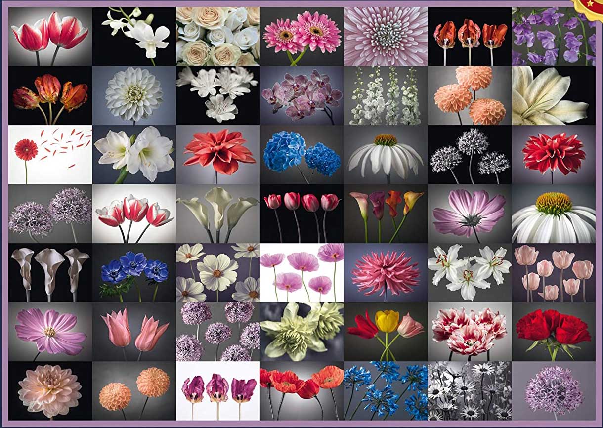 Floral Greeting Flower & Garden Jigsaw Puzzle
