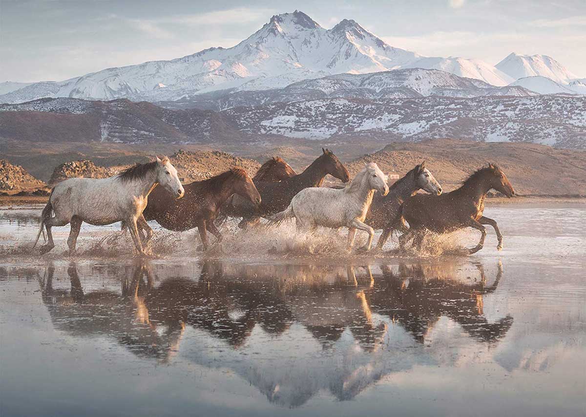 Horses In Cappadocia Horse Jigsaw Puzzle