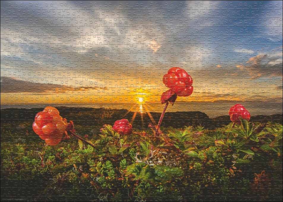 Cloudbeeries Flower & Garden Jigsaw Puzzle
