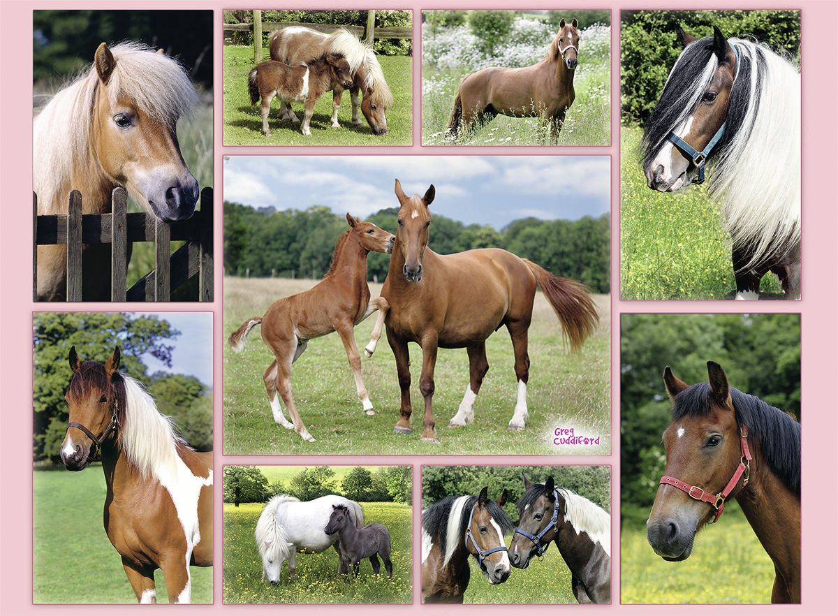 Horse Heaven Jigsaw Puzzle | PuzzleWarehouse.com